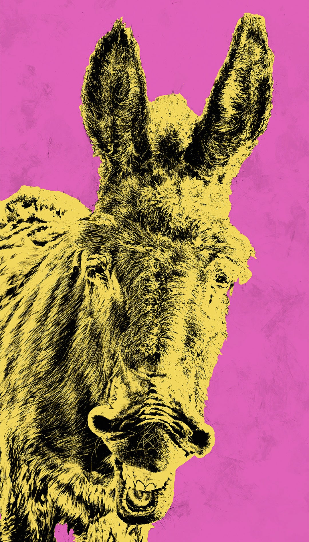 "VURRO", PINK