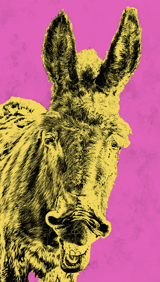 "VURRO", PINK