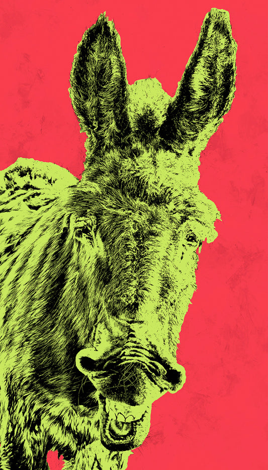 "VURRO", RED